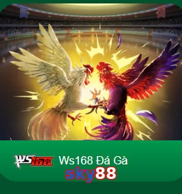 sky88